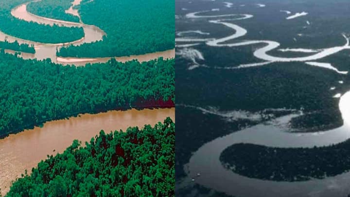 इन 165 नदियों में 76 नदियां ऐसी हैं. जिनकी लंबाई 1,000 मील से भी ज़्यादा हैं. भारत में अगर बात की जाए गंगा नदी सबसे लंबी नदी है.