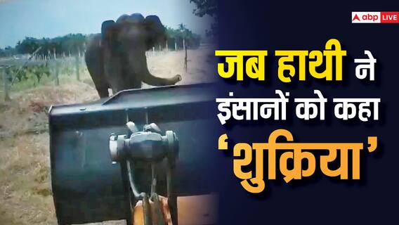जब वन अधिकारियों ने बचाई बच्चे की जान तो हाथी ने सूंड उठाकर ऐसे कहा ‘Thanku’, देखें Video जब वन अधिकारियों ने बचाई बच्चे की जान तो हाथी ने सूंड उठाकर ऐसे कहा ‘Thanku’, देखें Video