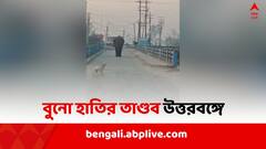 'খাবারের খোঁজে লোকালয়ে..', ভোরের আলোয় কাকে দেখে ঘুম উড়ল স্থানীয়দের ?