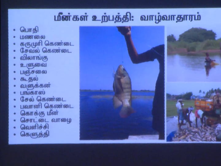 Thamiraparani River: சாக்கடையாகும் தாமிரபரணி; மூச்சு திணறும் இயல்பு வகை மீன்கள்- பாதுகாக்க கோரிக்கை