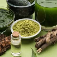 Neem Oil: ਚੰਬਲ ਵਰਗੀਆਂ ਬਿਮਾਰੀਆਂ ਨੂੰ ਦੂਰ ਕਰਨ ‘ਚ ਕਾਰਗਰ ਹੈ ਆਹ ਤੇਲ