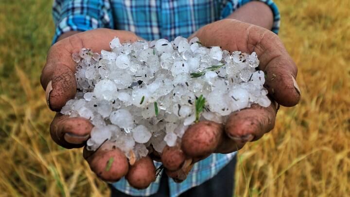 इस वजह से 25 फरवरी को पूर्वी मध्य प्रदेश और विदर्भ में, 24 और 25 फरवरी को छत्तीसगढ़ में और 25 और 26 फरवरी को तेलंगाना में, 26 फरवरी को मध्य महाराष्ट्र में और 25-27 फरवरी को मराठवाड़ा में तेज हवाओं (30-40 किलोमीटर प्रति घंटा) के साथ छिटपुट हल्की या मध्यम वर्षा होने की संभावना है. इसके अलावा 26 और 27 फरवरी को मध्य प्रदेश, विदर्भ, झारखंड में और 26 फरवरी को छत्तीसगढ़ में ओलावृष्टि होने की संभावना जताई गई है.