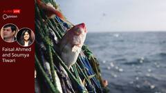The Clock Is Ticking. WTO Must Act Now On Fisheries Subsidies Agreement