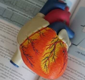 હાર્ટ એટેક આવતા પહેલા શરીરમાં કેટલાક ખાસ સંકેતો જોવા મળે છે. જેથી સમય રહેતા હ્રદયરોગનો ઈલાજ કરાવવો જરૂરી છે, જેથી તમે તમારો જીવ બચાવી શકો છો.