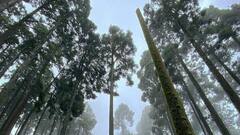 Darjeeling Tourist Places: दार्जीलिंग जाएं तो न भूलें ये चीजें देखना, यात्रा में लग जाएगा चार चांद