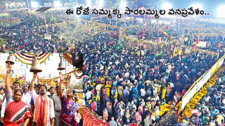 medaram jatara 2024 sammakka saralamma jatara end today evening sammakka saralamma vanapravesham know in telugu Medaram Jathara Last Day 2024: జనం నుంచి తిరిగి వనంలోకి సమ్మక్క, సారలమ్మలు - మేడారం జాతరలో ఆఖరి ఘట్టం!