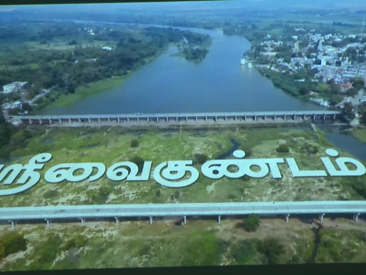 Thamiraparani River: சாக்கடையாகும் தாமிரபரணி; மூச்சு திணறும் இயல்பு வகை மீன்கள்- பாதுகாக்க கோரிக்கை