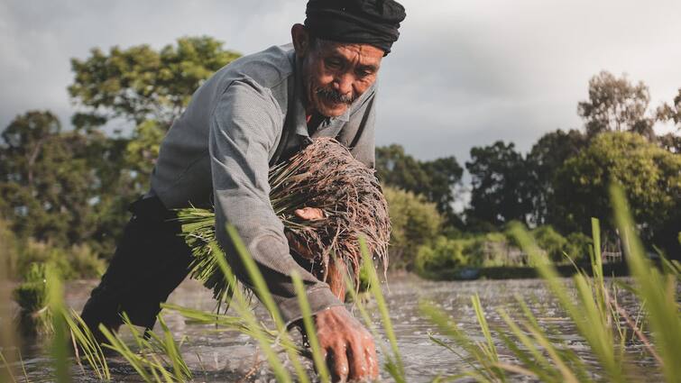 जानिए आपको मिलेंगे पीएम किसान सम्मान निधि के रुपये या नहीं... PM Kisan Samman Nidhi 16th Installment credited in your account or not know full details here जानिए आपको मिलेंगे पीएम किसान सम्मान निधि के रुपये या नहीं...