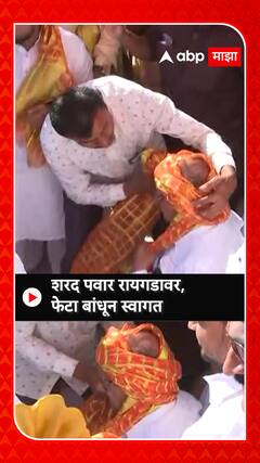 Sharad Pawar At Raigad : शरद पवार रायगडावर , फेटा बांधून स्वागत