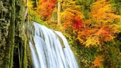 मध्य प्रदेश के इन वॉटरफॉल्स में आ जाएगा दिल, और भी रोमांटिक बन जाएगी ट्रिप