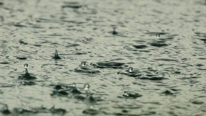 আলিপুর আবহাওয়া দফতর জানিয়েছে, কলকাতা, উত্তর ২৪ পরগনা, দক্ষিণ ২৪ পরগনা, হাওড়া, হুগলি, নদিয়া ভিজতে পারে শনিবার।
