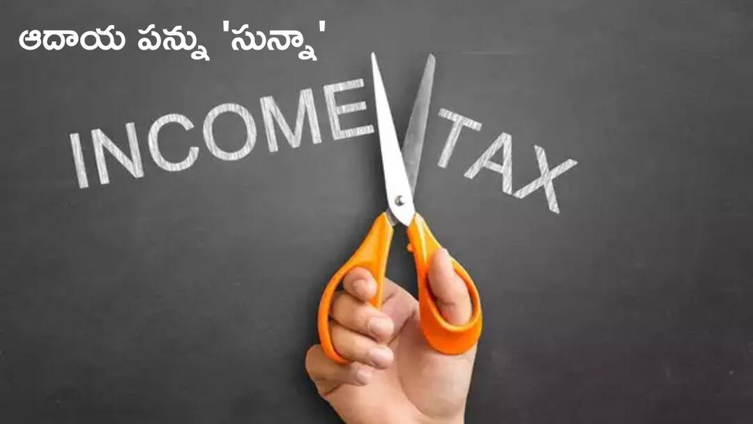 10 countries that Levi zero personal income tax know details No Income Tax: ఈ దేశాల్లో ఆదాయ పన్ను 'సున్నా', మీరు సంపాదించిందంతా మీదే
