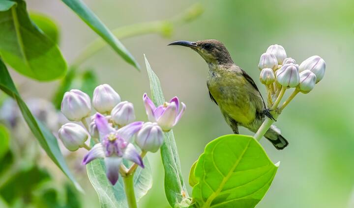 সোমবার বজ্রবিদ্যুৎসহ বৃষ্টির পূর্বাভাস পুরুলিয়া, বীরভূম ও পশ্চিম বর্ধমান জেলায়।