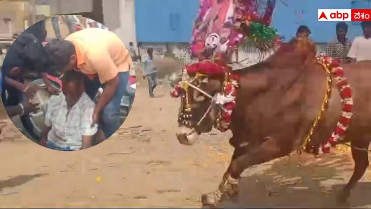 one person dies while attends Jallikattu in chandragiri Tirupati District Tirupati Jallikattu: తిరుపతి జిల్లా చంద్రగిరి జల్లికట్టులో విషాదం, ఎద్దు దాడిలో ఒకరి మృతి