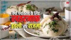 पर्यावरण के लिए सबसे खतरनाक है इडली और राजमा, आप भी समझिए ये कैसे