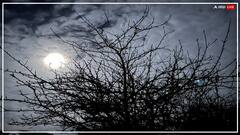 कल जो चांद दिखा उसका नाम था 'हंगर मून', जानिए कल वाले चांद में क्या था अलग