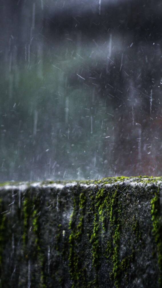 महाराष्ट्रात अवकाळी पावसाची शक्यता!