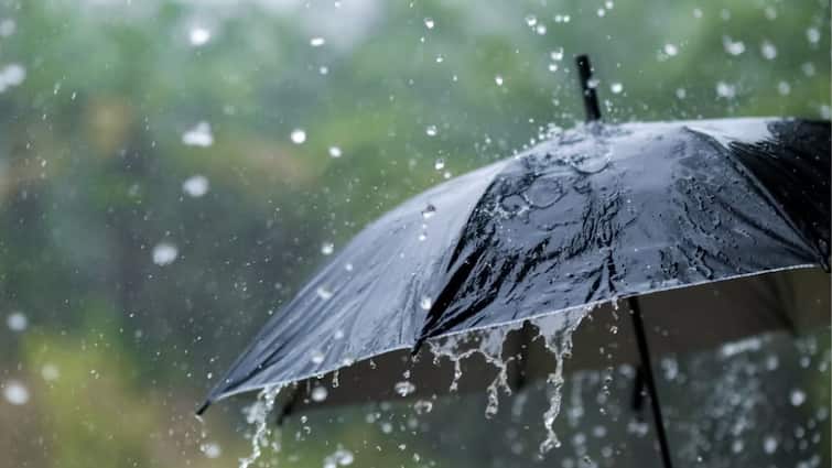 rainiest-cities-in-the-world-mausinram-cherrapunji-tutunedo Monsoon: વિશ્વની આ 10 જગ્યા જ્યાં લોકો નથી જોતા ચોમાસાની રાહ, આખું વર્ષ પડે છે અનરાધાર વરસાદ