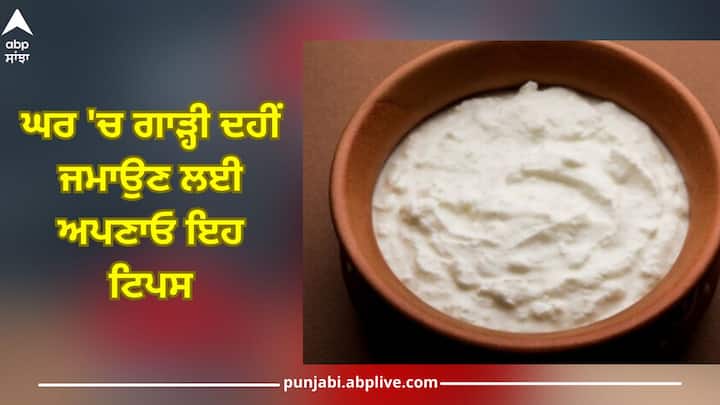 How to Make Thick Curd: Follow these tips to make thick curd at home, you will get a like market curd How to Make Thick Curd: ਘਰ 'ਚ ਗਾੜ੍ਹੀ ਦਹੀਂ ਜਮਾਉਣ ਲਈ ਅਪਣਾਓ ਇਹ ਟਿਪਸ, ਮਿਲੇਗਾ ਬਾਜ਼ਾਰ ਵਰਗਾ ਸੁਆਦ