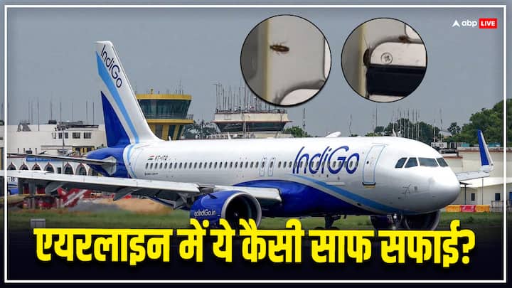 IndiGo Airlines passenger shared video on social media finds cockroaches in food area of flight know full details इंड‍िगो फ्लाइट के फूड एर‍िया में 'कॉकरोच', यात्री ने वीड‍ियो किया शेयर तो एयरलाइन न‍े द‍िया ये जवाब