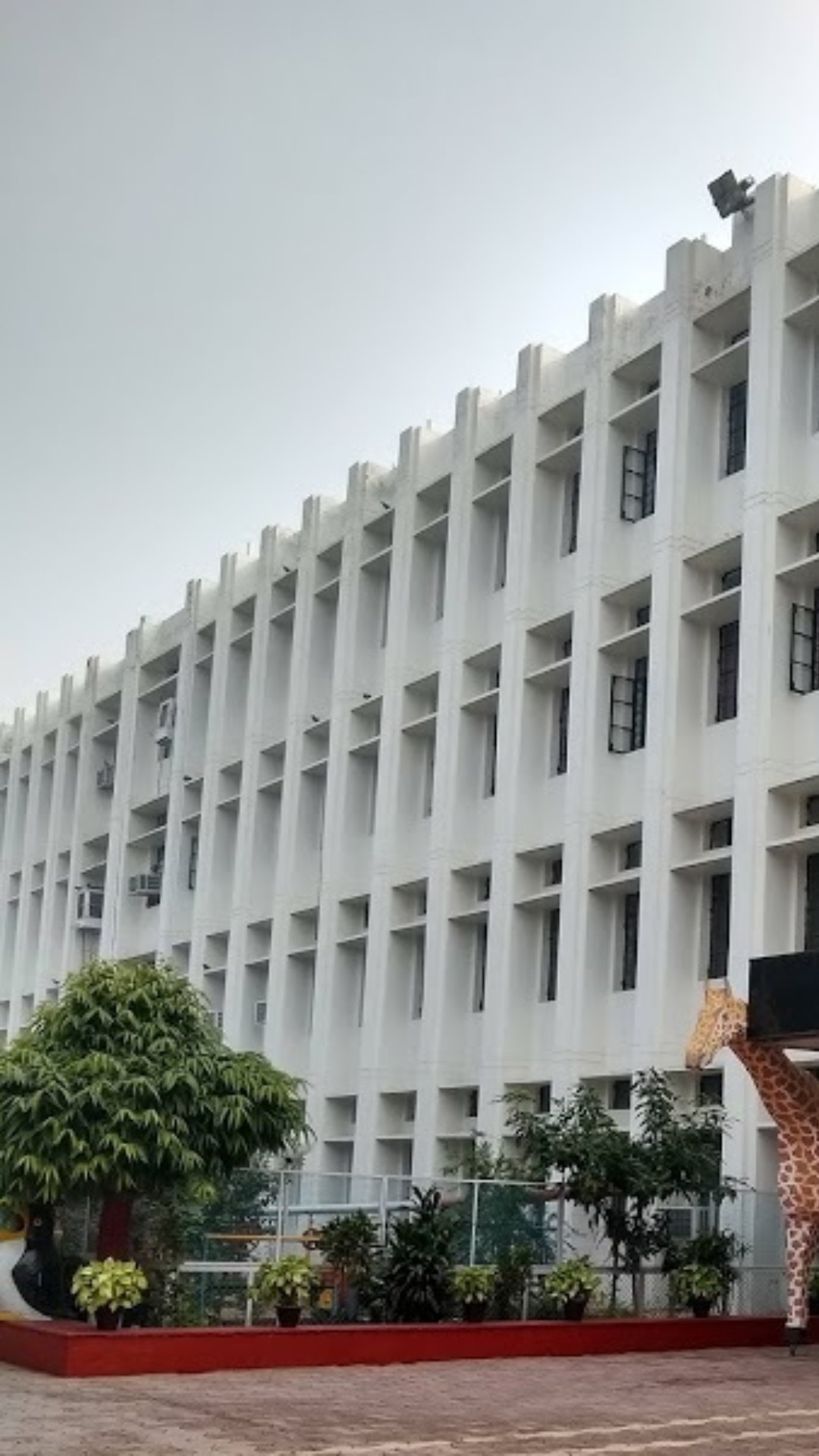 सिटी मॉन्टेसरी स्कूल दुनिया