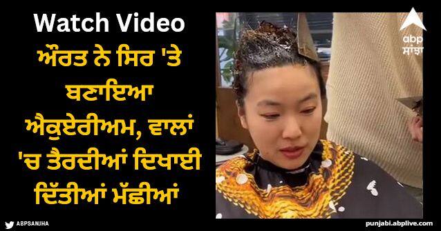 viral video of aquarium on womans head water in hair pond fish Viral Video: ਔਰਤ ਨੇ ਸਿਰ 'ਤੇ ਬਣਾਇਆ ਐਕੁਏਰੀਅਮ, ਵਾਲਾਂ 'ਚ ਬਣੇ ਛੱਪੜ 'ਚ ਤੈਰਦੀਆਂ ਦਿਖਾਈ ਦਿੱਤੀਆਂ ਮੱਛੀਆਂ