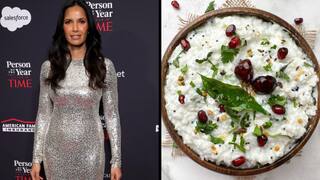 Thayir Sadam With Veppilakatti Is Padma Lakshmi's Favourite Comfort Food. Know What This Combo Is