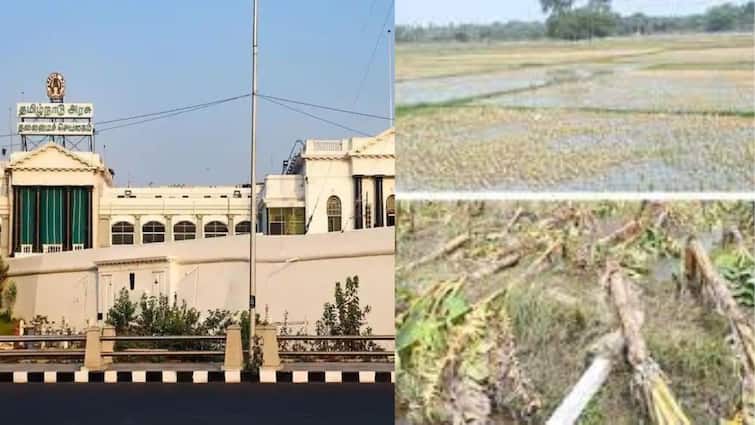 Good news for the farmers of Southern district - Tamil Nadu government order to allocate Rs. 201.67 as flood relief TN Govt: தென்மாவட்ட விவசாயிகளுக்கு நற்செய்தி - வெள்ள நிவாரணமாக ரூ.201.67 கோடி ஒதுக்கி தமிழ்நாடு அரசு அரசாணை