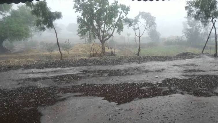 Vidharbha Unseasonal Rain Update Unseasonal rain crisis in Vidarbha once again; Orange alert for five districts Marathi news Vidharbha Unseasonal Rain Update : विदर्भात पुन्हा एकदा अवकाळी पावसाचे संकट; पाच जिल्ह्यांना ऑरेंज अलर्ट