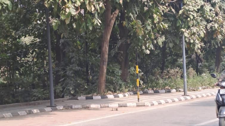 Aligarh News Sign boards stolen from cool road built at a cost crores rupees ann Aligarh News: करोड़ों की लागत से बनी 'ठंडी सड़क' पर मंडराया चोरों का आतंक, सड़क के साइन बोर्ड हुए चोरी