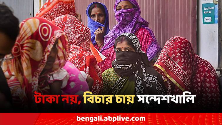 Sandeshkhali incident allegation against sheikh shahjahan villagers anger Sandeshkhali: ক্ষোভের পাহাড়, নালিশের বন্যা, টাকা নয়, বিচার চাইছে সন্দেশখালি