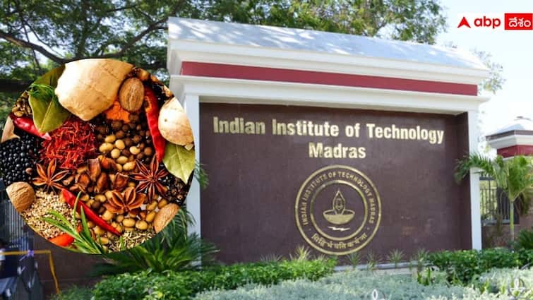 IIT Madras researchers patent use of Indian spices to treat cancer IIT Madras: మసాలా దినుసులతో క్యాన్సర్ ట్రీట్మెంట్‌కు పేటెంట్ - ఐఐటీ మద్రాస్ క్లినికల్ ట్రయల్స్
