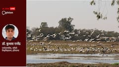 पक्षियों की उड़ान पर लगी इंसानी नज़र और सिकुड़ता पक्षियों का संसार