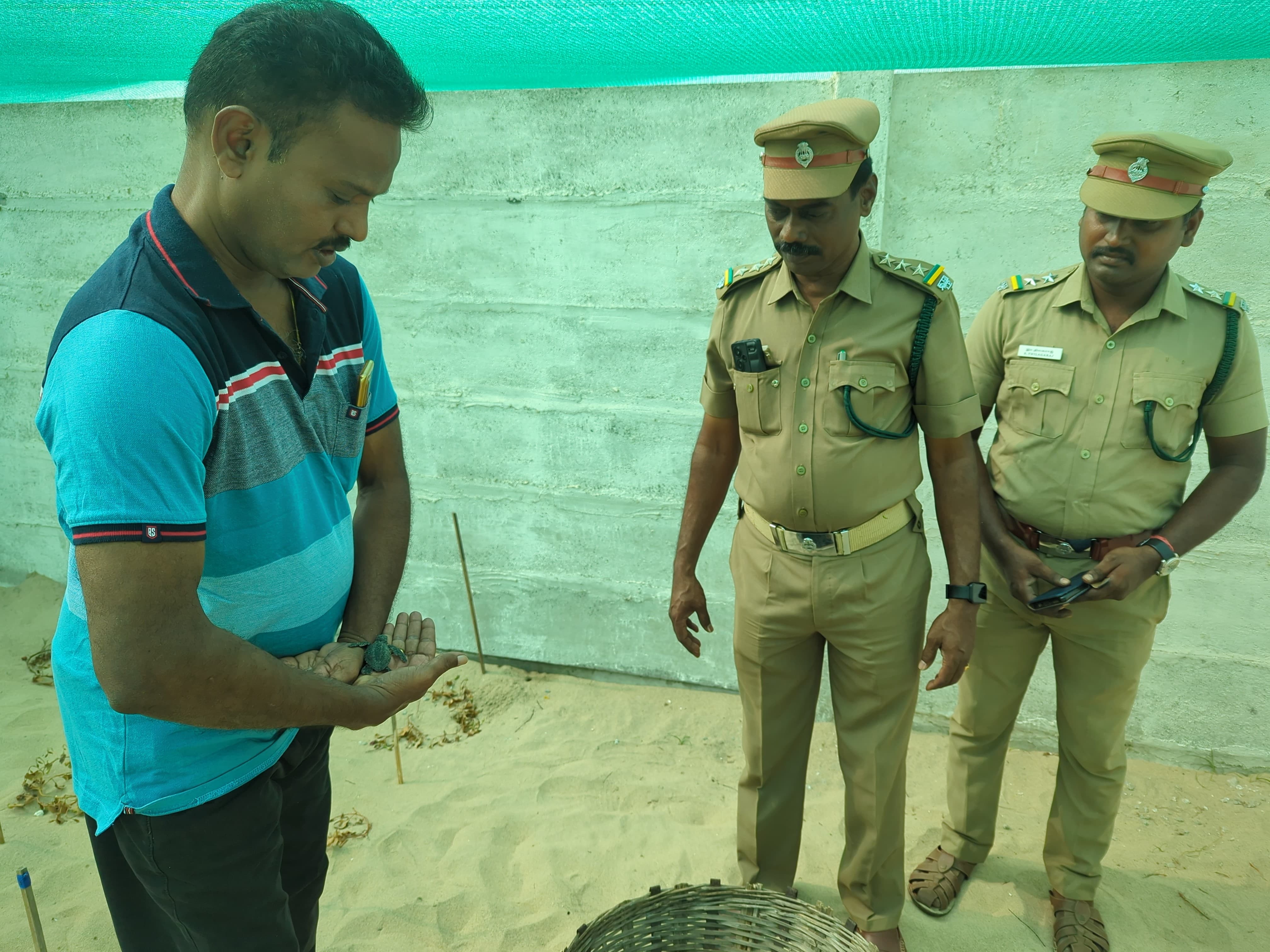 கடலூர் தேவனாம்பட்டினம் கடற்கரையில் விடப்பட்ட ஆமை குஞ்சுகள்