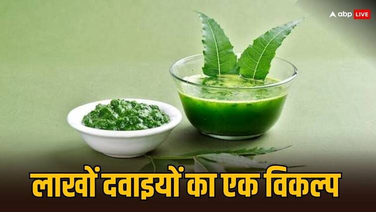 Benefits of Neem leaves Ayurvedic medicine इस वक्त नीम की पत्तियां चबाने से दूर होंगी कई बीमारियां, ये है खाने का सही तरीका
