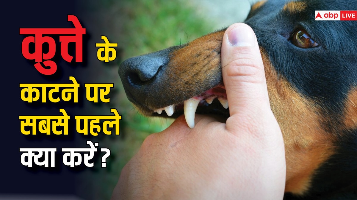 Dog bite home 2025 treatment in hindi