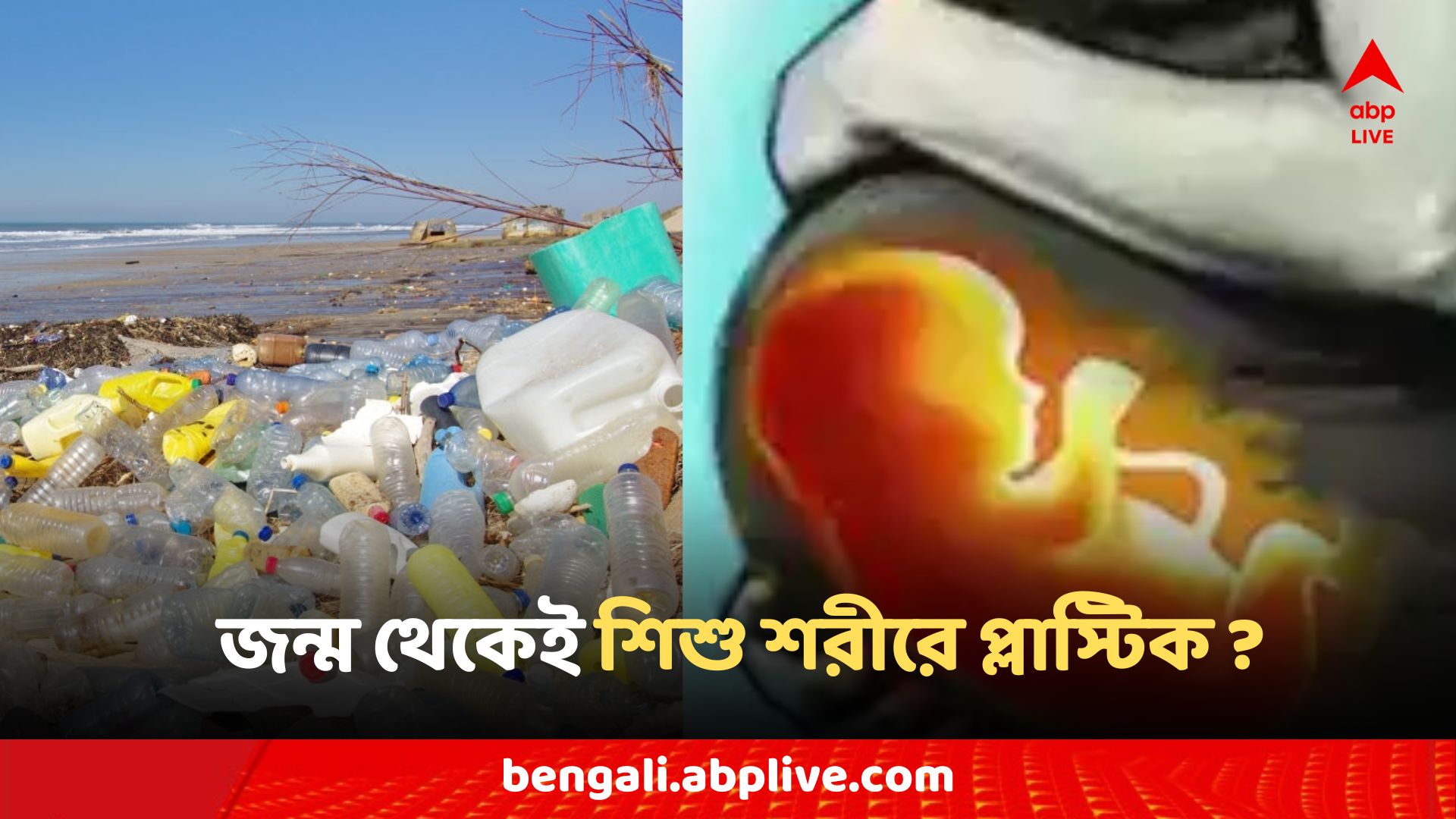 Science News: শরীরে প্লাস্টিক নিয়েই জন্মাচ্ছে প্রতিটি শিশু! দ্রুত হারে তাই বাড়ছে রোগ?