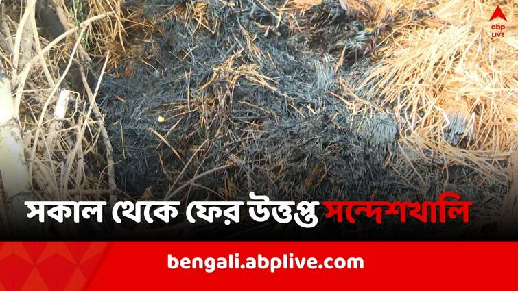 Fire at TMC leader s house in Bermajur Sandeshkhali Sandeshkhali Violence: বেড়মজুরে তৃণমূল নেতার বাড়িতে আগুন, ফের উত্তপ্ত সন্দেশখালি