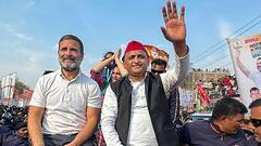 सपा-कांग्रेस गठबंधन को यूपी में मिला एक नया साथी