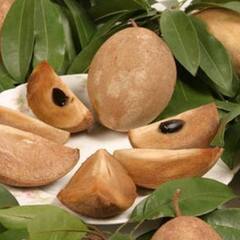 Kidney Stone: ਗੁਰਦੇ ਦੀ ਪੱਥਰੀ ਲਈ ਫਾਇਦੇਮੰਦ ਹੈ ਇਸ ਫਲ ਦੇ ਬੀਜ