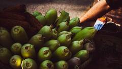 अगर आपके खेत में भी नहीं है भरपूर पानी तो ये खेती आपको बना देगी मालामाल, जल्दी करें