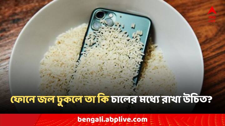 Mobile Rice Hack: চালের ভেতর ফোন রাখলে যে দ্রুত জল শুকিয়ে যায় তাও ভিত্তিহীন?