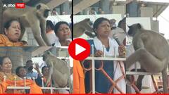 Bhiwandi : भिवंडीतील सुषमा अंधारेंच्या सभेत वानरराजाचा धुमाकूळ!