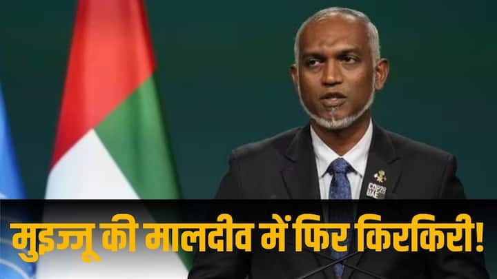 Maldives President mohamed muizzu criticized by former minister Abdullah Shahid said liar Indian Troops in Maldives: 'झूठे हैं राष्ट्रपति मुइज्जू', मालदीव में 'हजारों भारतीय सैनिकों' की मौजूदगी के दावे पर पूर्व मंत्री ने लगाई फटकार