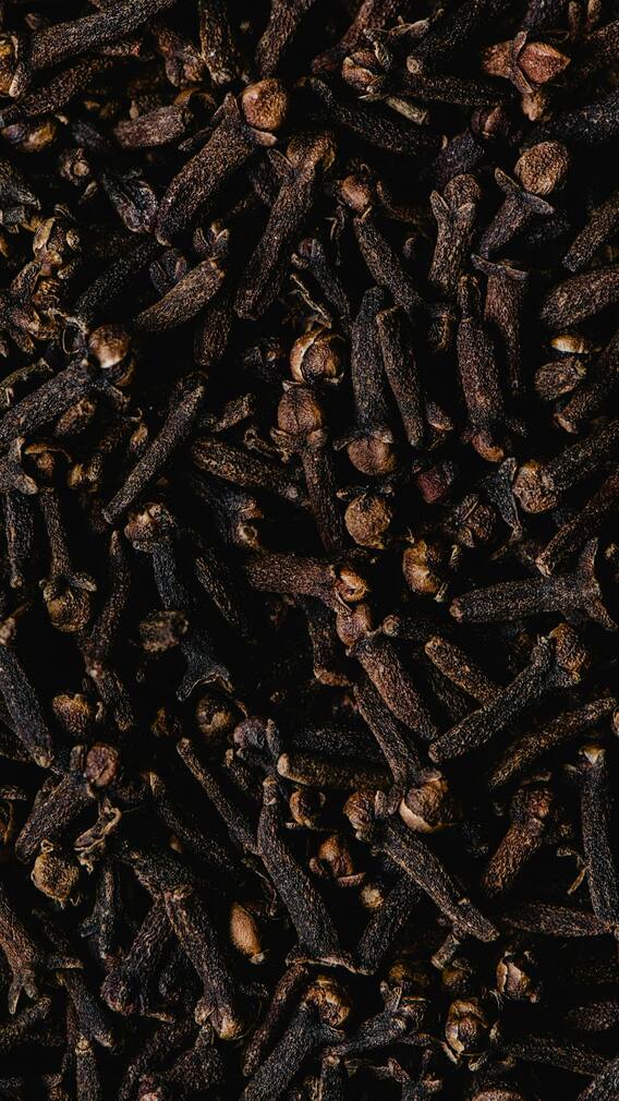 రాత్రి నిద్రించే ముందు 1 లవంగం తింటే ఎన్ని లాభాలో తెలుసా?