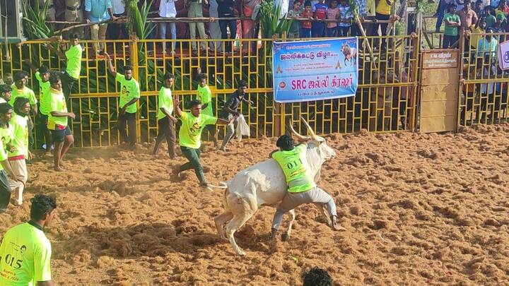 இதனை கண்டு ரசிக்க சுற்றுவட்டார பகுதிகளில் உள்ள பல்வேறு கிராமங்களை சேர்ந்த பொதுமக்கள் ஏராளமானோர் குவிந்துள்ளனர்.