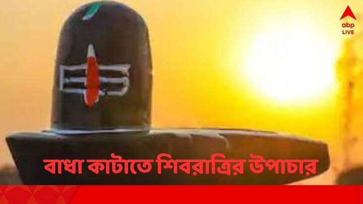 যাঁদের বিয়েতে দেরি হচ্ছে বা বাধার সম্মুখীন হচ্ছেন তাঁরা মহাশিবরাত্রির দিন এই প্রতিকারগুলি করে এই সমস্যা কাটাতে পারেন