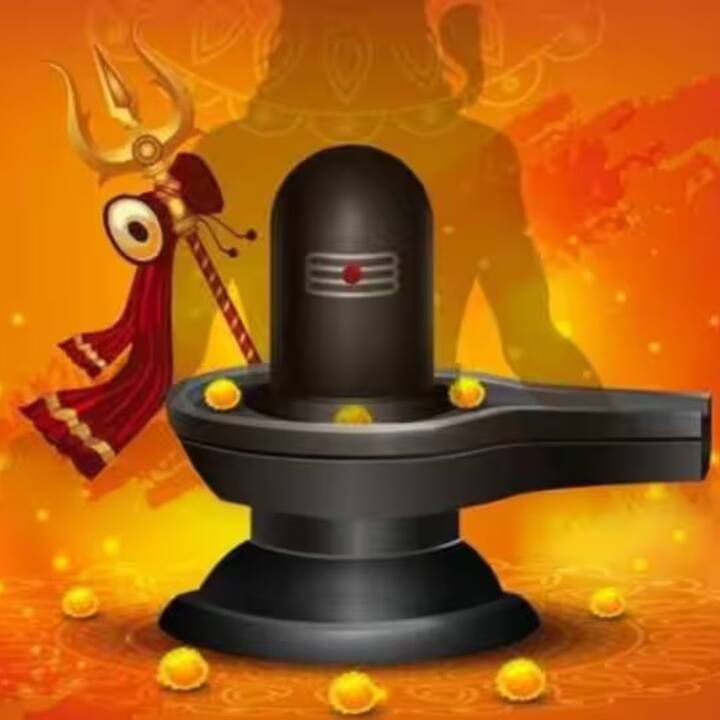 শিবের পুজোর ক্ষেত্রে একটা বিষয় মাথায় রাখা প্রয়োজন। হিন্দুশাস্ত্র মতে, কয়েকটি জিনিস আছে, যেগুলি অন্য দেবদেবীকে অর্পণ করা গেলেও, শিবকে করা যায় না। যেমন হলুদ ও সিঁদুর প্রায় সব দেবদেবীকে অর্পণ করা গেলেও, কখনই দেওয়া যায় না শিবকে।