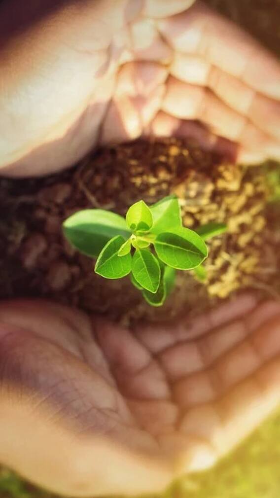 पंतप्रधान किसान योजना कधी सुरू झाली, शेतकऱ्यांना काय लाभ मिळतात?