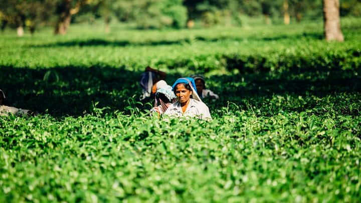 पीएम नरेंद्र मोदी महाराष्ट्र के यवतमाल से 16वीं किस्त जारी करेंगे. रिपोर्ट्स के अनुसार पीएम किसान योजना की 16वीं किस्त 9 करोड़ से अधिक किसानों को मिलेगी. इस किस्त में 21,000 करोड़ रुपये से अधिक राशि सीधे लाभार्थी किसानों के बैंक खातों में DBT के जरिए पहुंचेगी.